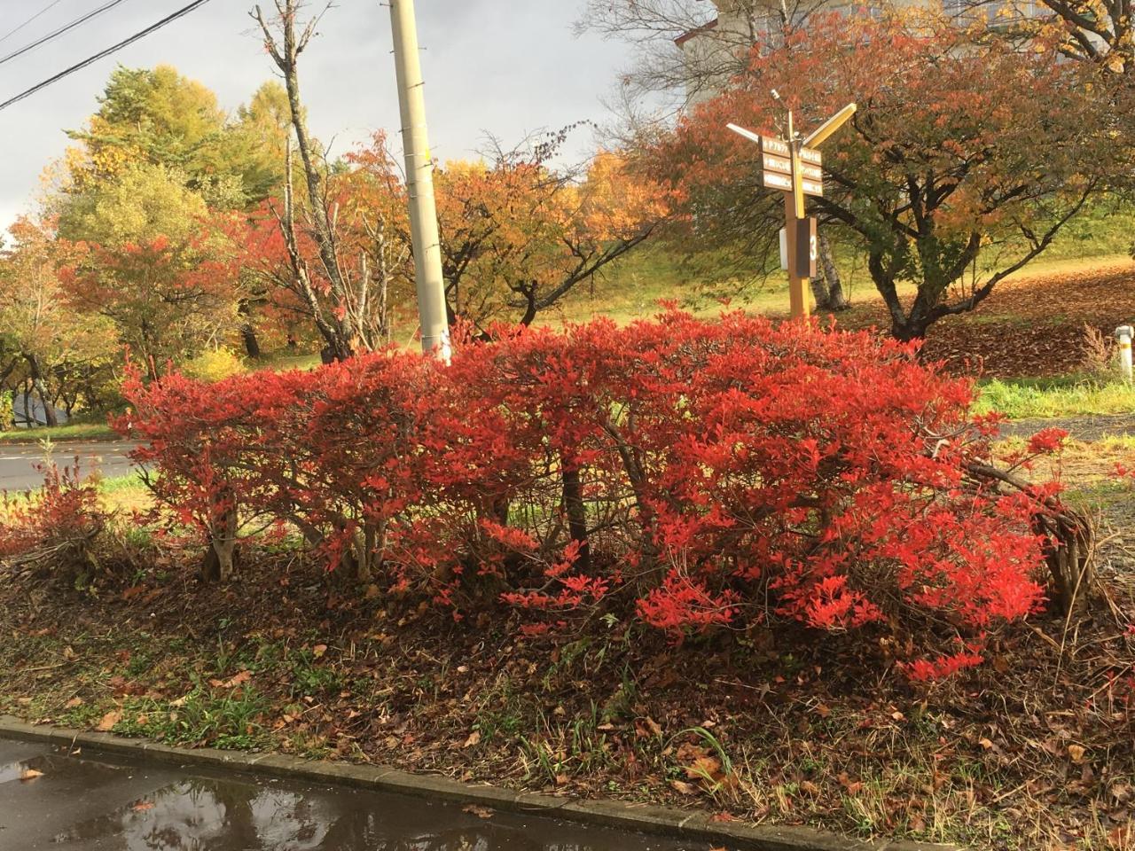 温泉ゲストハウス やすもり 本館 Hachimantai  Extérieur photo