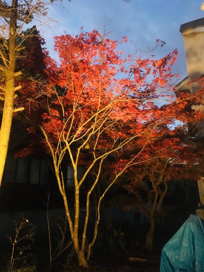 温泉ゲストハウス やすもり 本館 Hachimantai  Extérieur photo